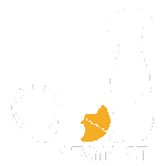VetInternist Logo